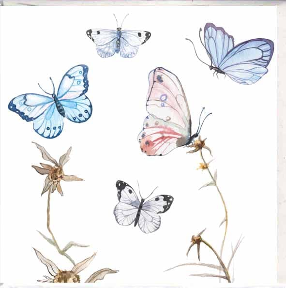 Card - Butterflies Cards & Wrapping The Cooks Kitchen
