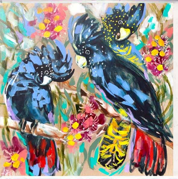 Card - Amanda Brooks Black Cockatoo Cards & Wrapping The Cooks Kitchen