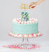 Cake Craft - Surprise Money Cake Kit