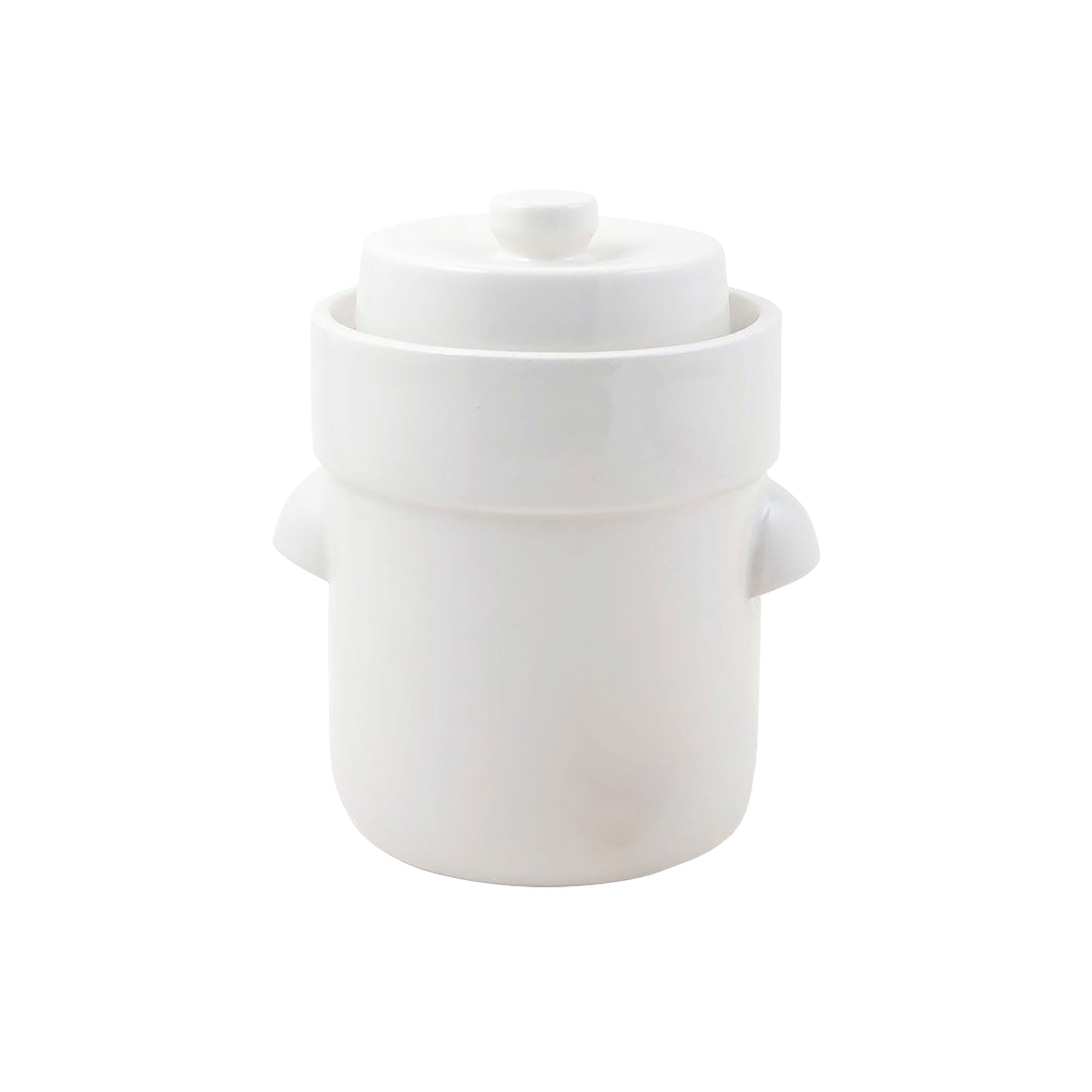 Davis & Waddell Fermentation Crock 3l Gadgets The Cooks Kitchen