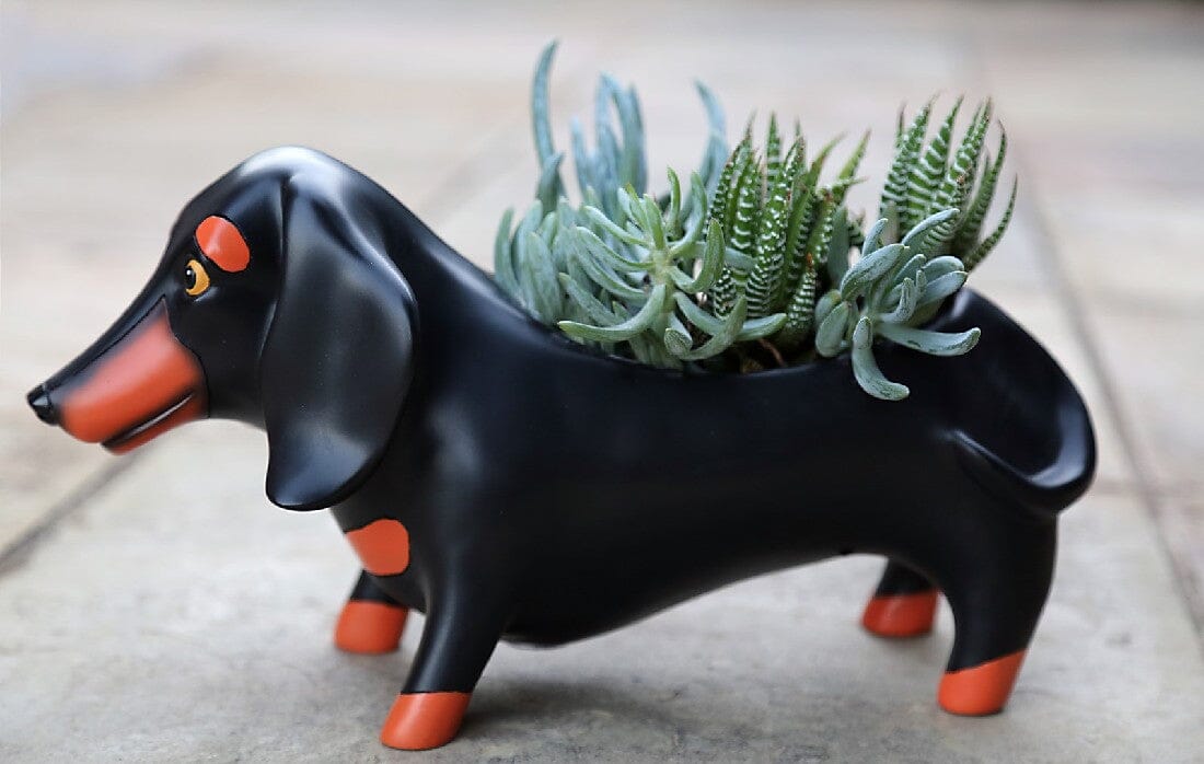 Rikaro - Otis Dachshund Planter Vases & Planters The Cooks Kitchen