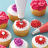 Wilton 9pce Starter Decorating Tip Set Piping Bag Sets The Cooks Kitchen 