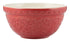 Mason Cash Forest Burg Mixing Bowl 21cm