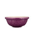 Mason Cash - In The Meadow Daisy Mixing Bowl 26cm/2.7l Purple