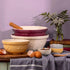 Mason Cash - In The Meadow Daffodil Mixing Bowl 21cm/1.1l Yellow Mixing Bowls & Pudding Bowls The Cooks Kitchen Mandurah 