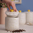 Price & Kensington Daisy Coffee Jar Ceramic Hand Painted Flower 700ml