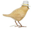 Dcuk Buzzy Bee Garden Birds Assorted Home Decor The Cooks Kitchen 