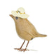 Dcuk Buzzy Bee Garden Birds Assorted Home Decor The Cooks Kitchen 