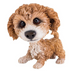 Little Paws Collectible Figurine Molly Cavachon