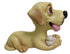 Buffy Golden Labrador, Collectible