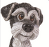Little Paws Collectable Figurine Casper Schnauzer