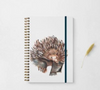 Meg Hawkins A5 Echidna Note Book