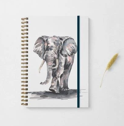 Meg Hawkins A5 Elephant Note Book