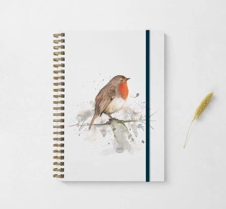 Meg Hawkins A5 Robin Note Book