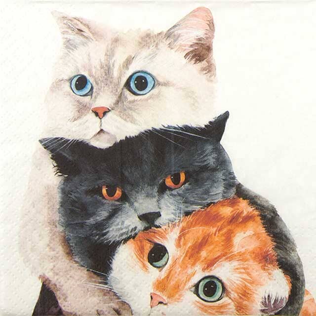 Paw Lunch Napkins 33cm Better Together Napkins The Cooks Kitchen 