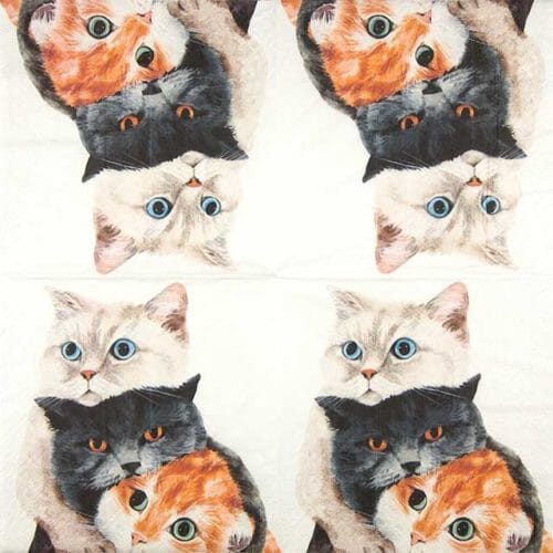 Paw Lunch Napkins 33cm Better Together Napkins The Cooks Kitchen 