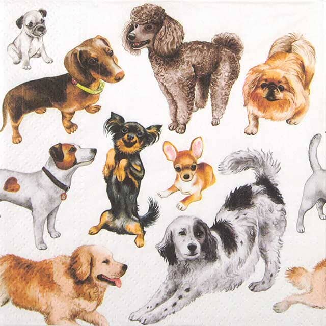 Paw Lunch Napkin 33cm Dogs Happiness Table Cloths & Napkins The Cooks Kitchen 