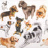 Paw Lunch Napkin 33cm Dogs Happiness Table Cloths & Napkins The Cooks Kitchen 