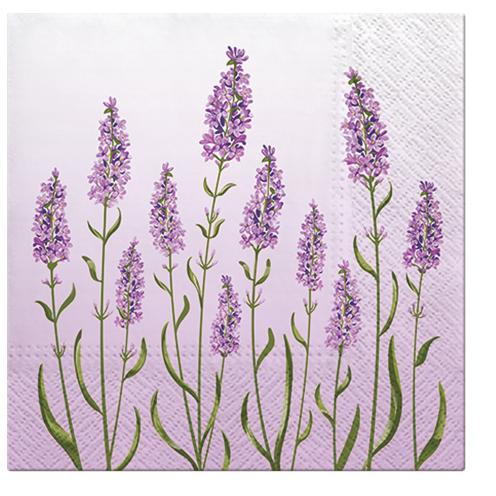 Paw Lunch Napkins 33cm Lavender Field