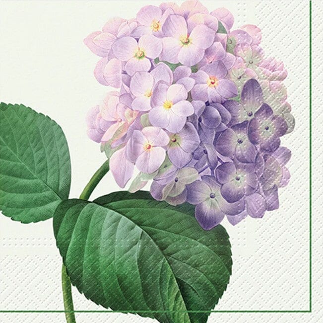 Paw Lunch Napkins 33cm Vintage Hydrangea Napkins The Cooks Kitchen 