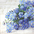 Paw Lunch Napkins 33cm Forget Me Not