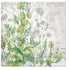 Paw Lunch Napkins 33cm Meadow Table Cloths & Napkins The Cooks Kitchen 