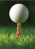 Kikkerland Design Golf-pher The Gopher Golf Tees, Set Of 6 Novelty Gifts The Cooks Kitchen 