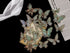 Iconic Cake Art Crystal Green Butterfly Topper Cake Toppers The Cooks Kitchen 