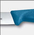 Victorinox Paring Knife Straight Edge 10cm New Blue