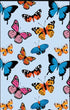 Allgifts Australia Tea Towels - Butterflies