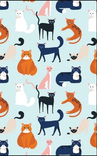 Allgifts Australia Tea Towels - Colourful Cats Tea Towels The Cooks Kitchen 