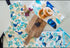 Allgifts Australia Apron (heavy Drill) - Blue Wren