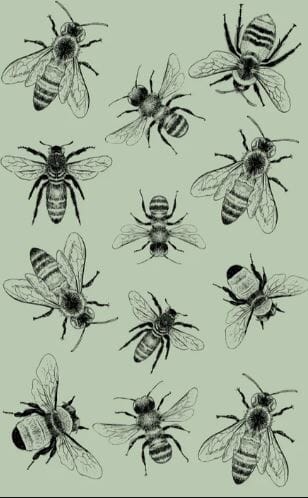 Allgifts Australia Tea Towel - Sketch Bee Tea Towels The Cooks Kitchen 