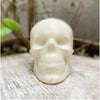 Cake Craft - Bwb - Skull Mold
