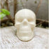 Cake Craft - Bwb - Skull Mold Chocolate Moulds The Cooks Kitchen 
