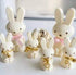 Bwb Small Easter Bunnies Mould - 3pc