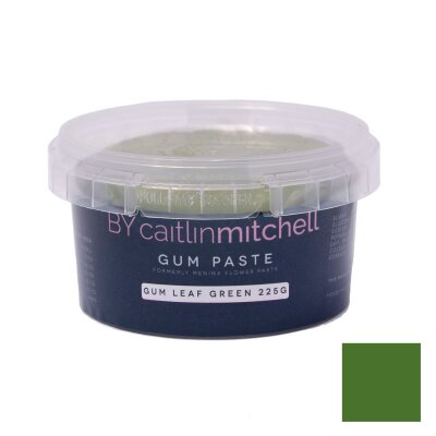 Bycm Gum Paste 225g Tub - Gum Leaf Green