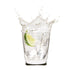 Ocean Plaza Tumbler 295ml - Set Of 6