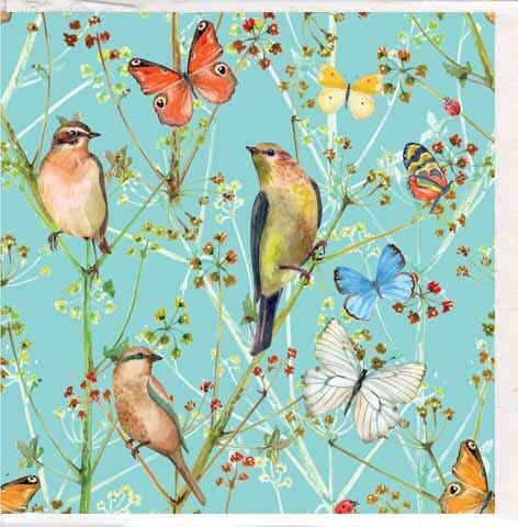 Gift Card Birds And Butterflies Cards & Wrapping The Cooks Kitchen 