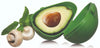 Avanti Avocado Saver