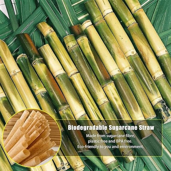 Avanti Sugar Cane Straws - 23cm Pk Of 50 Barware Accessories The Cooks Kitchen 
