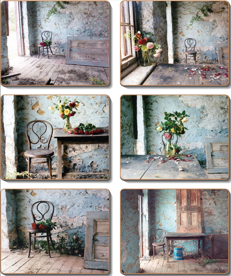 Cinnamon Blue Room Placemats 
