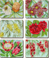 Cinnamon Bush Blooms Placemats