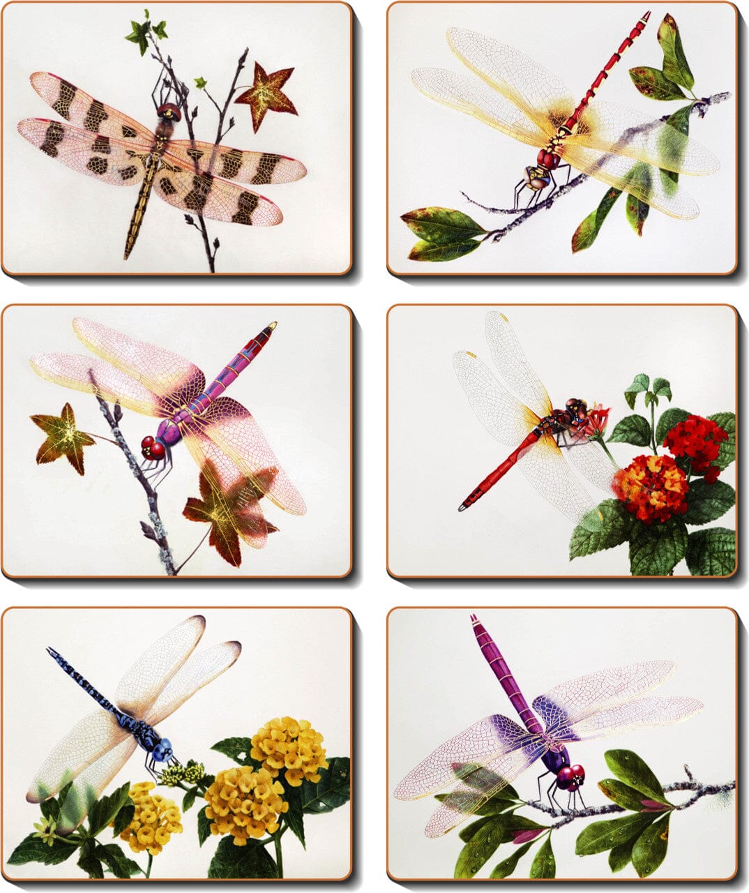 Cinnamon Delicate Wings Placemats - Set Of 6 Placemats & Coasters The Cooks Kitchen 