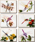 Cinnamon Delicate Wings Coasters - Set Of 6