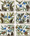 Cinnamon Blue Wren Coasters