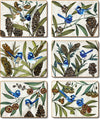 Cinnamon Blue Wren Coasters - Set Of 6