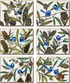 Cinnamon Blue Wren Placemats