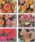 Cinnamon Flower Market Coasters - Set Of 6