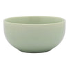 Ecology Element Noodle Bowl 14cm Dew